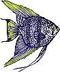 fish.jpg (4142 bytes)