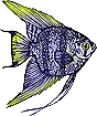 fish.jpg